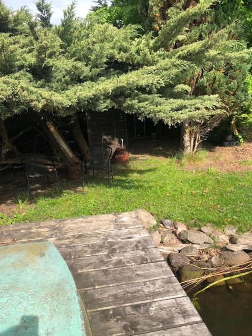 Lakeside Studio - Haus Mit Seezugang Königs Wusterhausen Zewnętrze zdjęcie