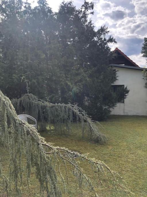 Lakeside Studio - Haus Mit Seezugang Königs Wusterhausen Zewnętrze zdjęcie