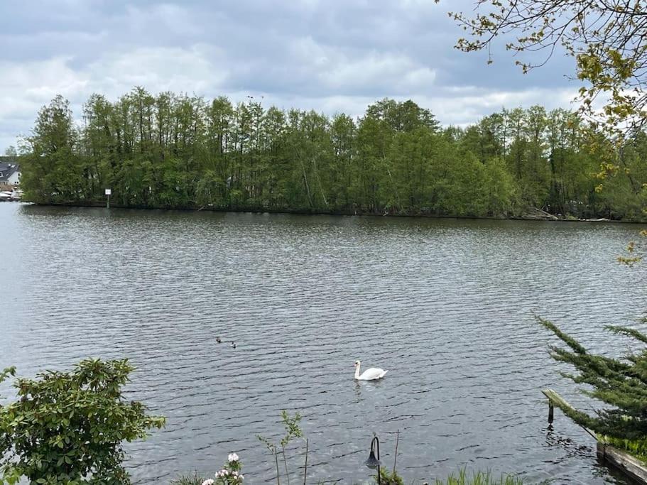 Lakeside Studio - Haus Mit Seezugang Königs Wusterhausen Zewnętrze zdjęcie
