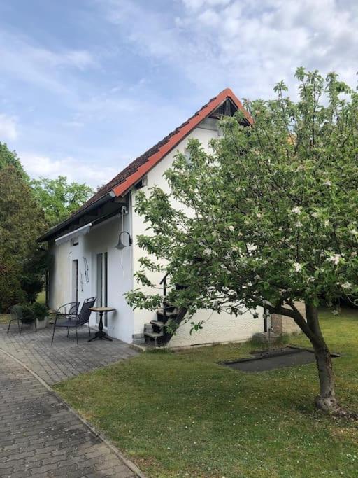 Lakeside Studio - Haus Mit Seezugang Königs Wusterhausen Zewnętrze zdjęcie